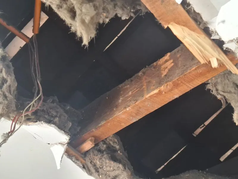 Desarme de cielo falso con la estructura de madera a la vista