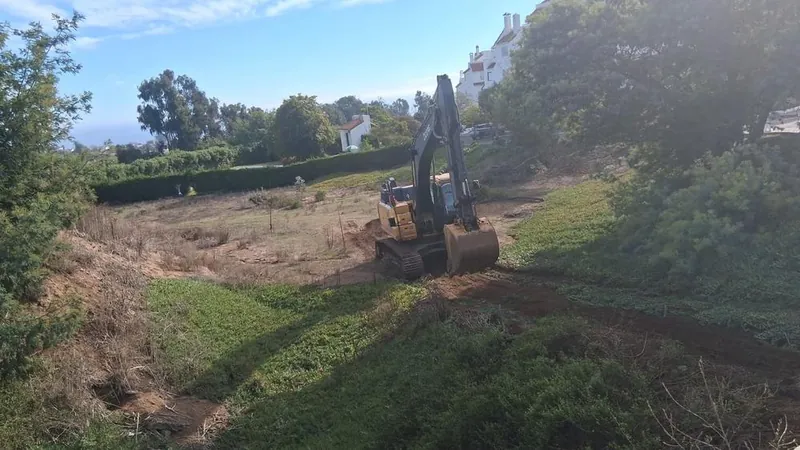 Excavadora trabajando en un terreno con vegetación